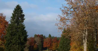Parcours d'orientation à Saint-Laurent en Grandvaux