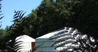 Yourtes de la Ferme des Anes de Vassivière_4 Yourtes de la Ferme des Anes de Vassivière_4