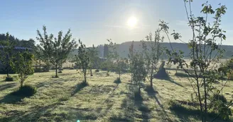 Roulotte du Verger, vue sur le verger Roulotte du Verger, vue sur le verger