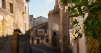 Châteauponsac©Sabine Massé