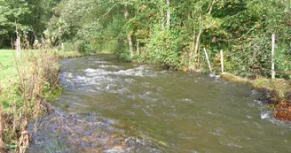 SAM_6023 SAM_6023