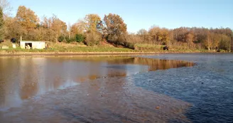 L'étang de la Blandinière L'étang de la Blandinière