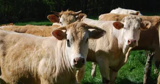 Au pré