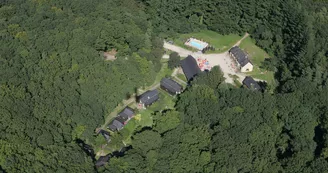 Notre clairère dans la forêt Notre clairère dans la forêt