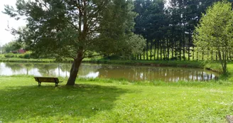 2022-04-25 Aire naturelle de camping à Blandouet5 2022-04-25 Aire naturelle de camping à Blandouet5