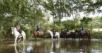 Randonnée équestre