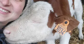 1000048877