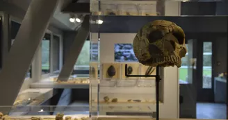 musée musée