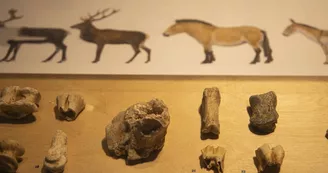 Musee_de_Prehistoire_Saulges Musee_de_Prehistoire_Saulges