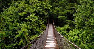 Lynn Canyon Park & Suspension Bridge Lynn Canyon Park & Suspension Bridge
