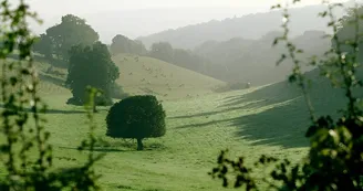 Paysage du Bocage Normand - Calvados Paysage du Bocage Normand - Calvados