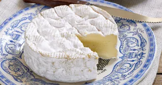 Camembert, Calvados