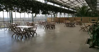 Biotropica Biotropica