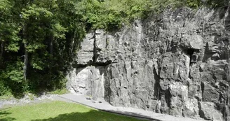 Horizon Vertical