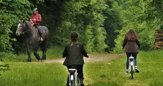 ©Haras du Pin ©Haras du Pin