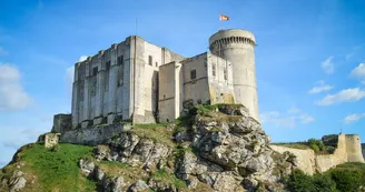 Château Guillaume-le-Conquérant / Ville de Falaise