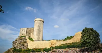 Ville de Falaise