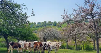 La Ferme de la Vallée au tanneur