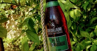 CHEGUILLAUME