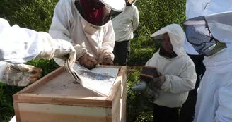 apiculture©cpievsl