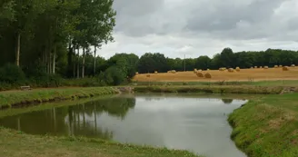 plan d'eau briosne