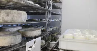 vallee-de-la-sarthe-Fromages-de-sophie-Fromages