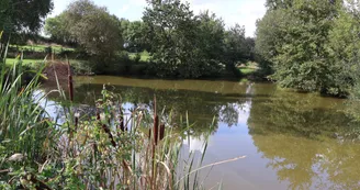 etang etang