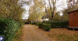 Automne Automne