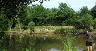 Etang de pêche Etang de pêche