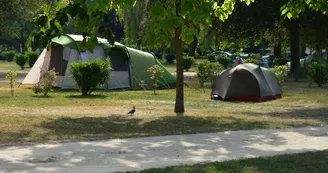 Camping au Bord du Loir - Le Lude - emplacements nus (16)