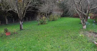 L'aire de camping