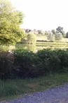 Étang du Moulin