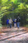 Les Bruyères