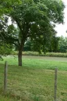 Aire de camping des Tissiers