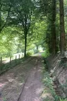 Randonnée à Loddes