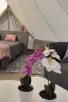Tente lodge "Plein Champ"