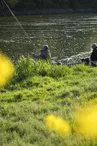 nature-peche-canne-pecheur-loire-osezmauges-anjou--D