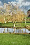 etang-montatais-jallais-beaupreau-mauges-pique-nique-anjou-bord-eau