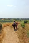 A dos d'âne