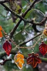 artisant-verre-emeraude-sevremoine-lesommer (8)