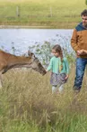 cerfs-fardelliere-valanjou-chemille-anjou-osez-mauges-nantes-angers-cholet