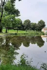aire-de-pique-nique-étang de neuvy en mauges-CEA-osez-mauges-©AR  (5)