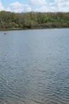 Etang des Noues à Cholet