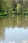 Etang de la Coudraye à Saint Lambert du Lattay