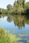 Parcours des Nobis - Montreuil-Bellay