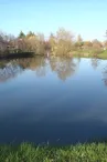 Etang des Courtilliers