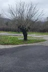 Aire de  camping-car du Pinard
