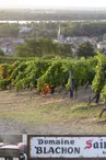 Domaine Blachon