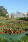 Les Jardins de Sardailhac