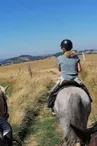 Balade à cheval au Centre équestre d'Antoulin